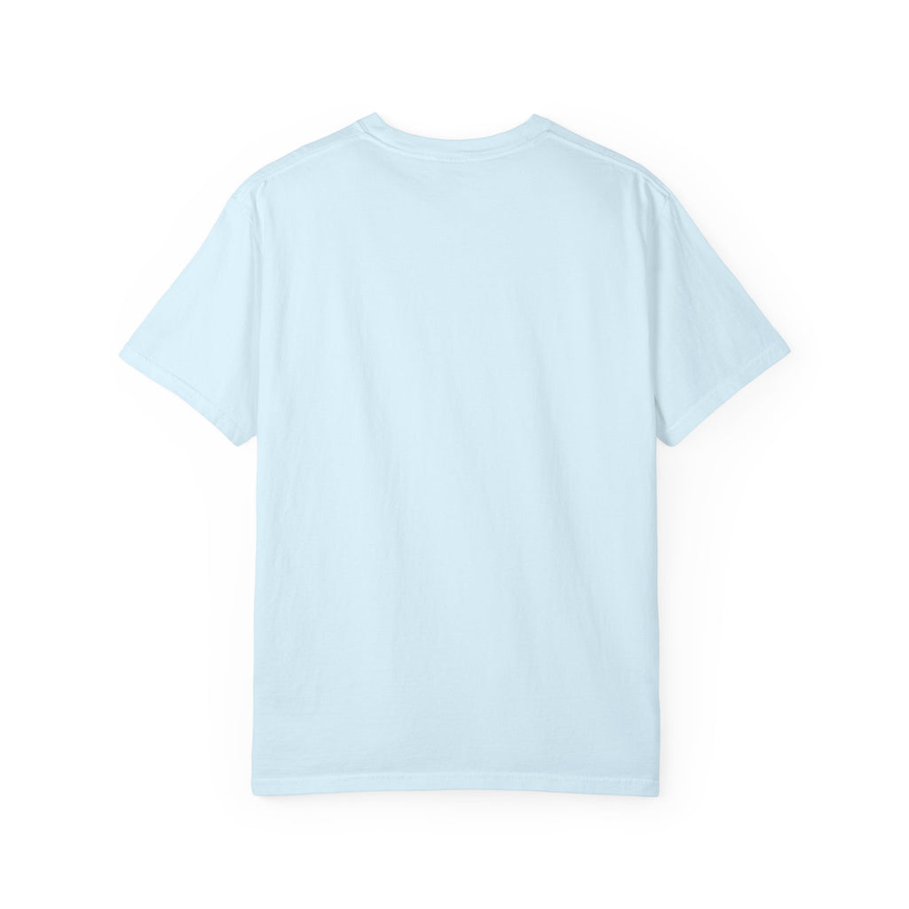 Chambray2