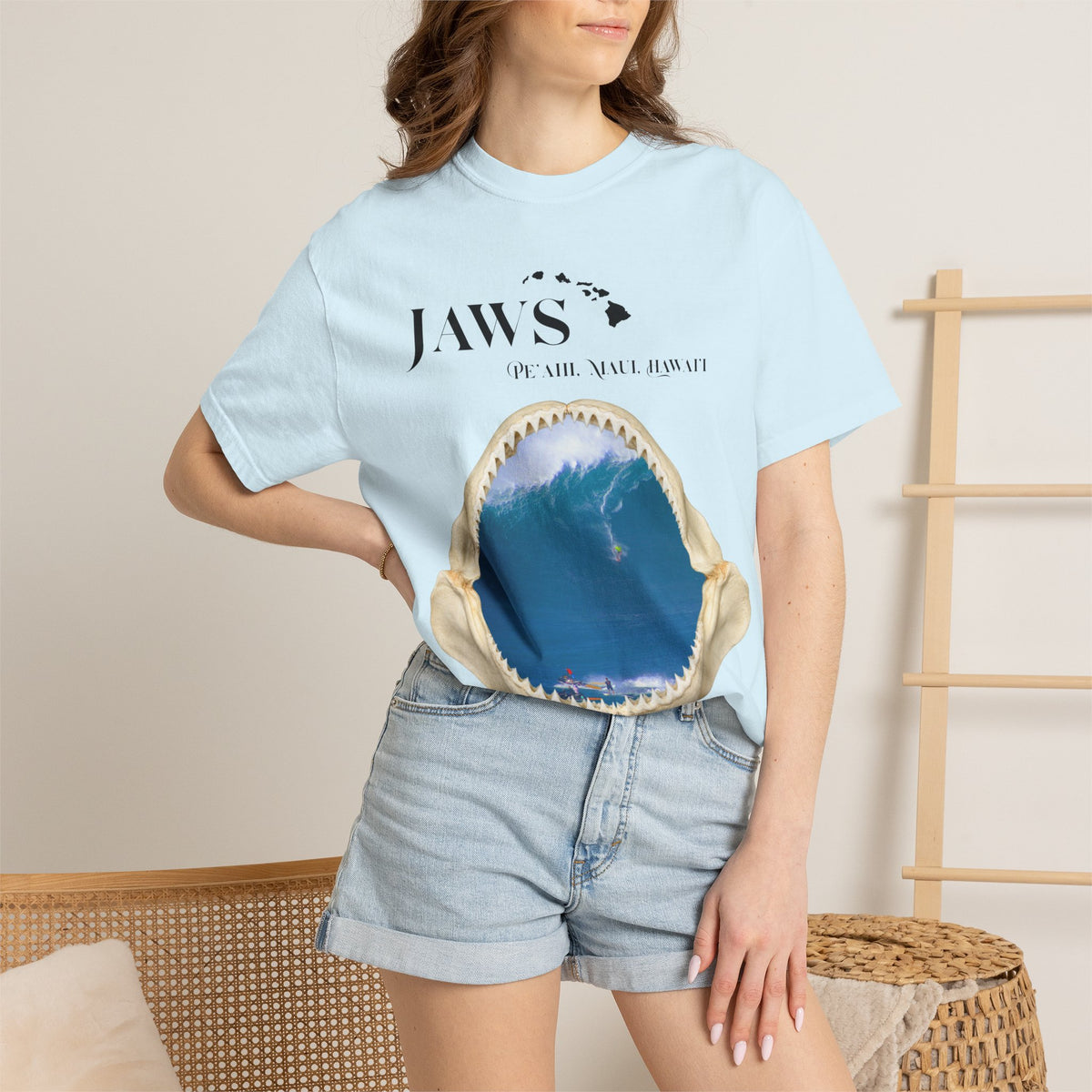 Chambray3